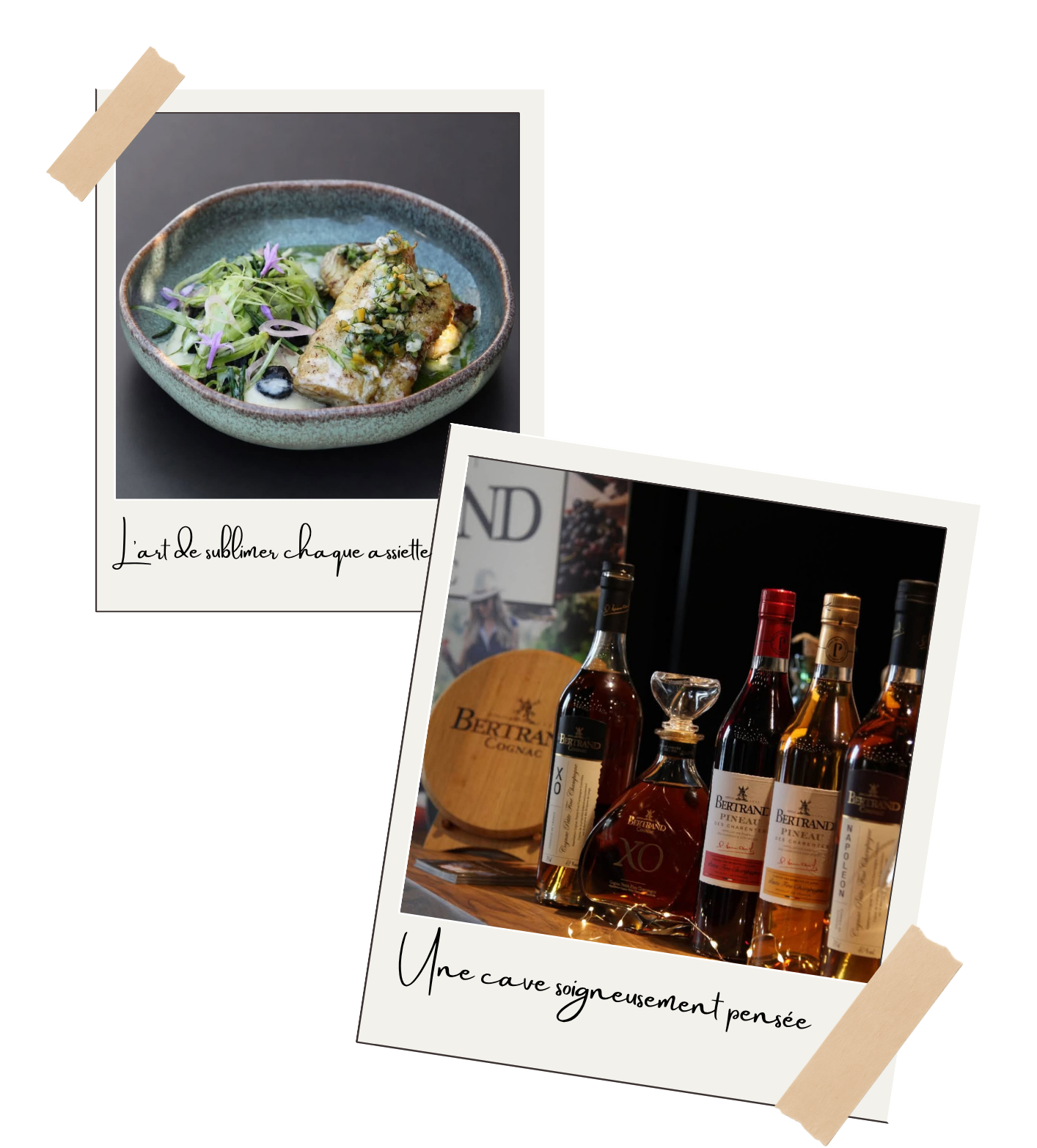 Le Comptoir du Bois Saint Ciers Champagne 
